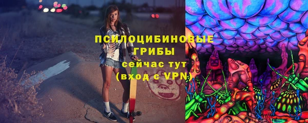 ECSTASY Пролетарск