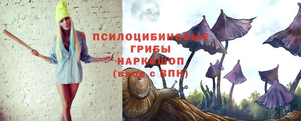 ECSTASY Пролетарск