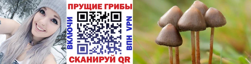 площадка телеграм  Слободской  Галлюциногенные грибы GOLDEN TEACHER 